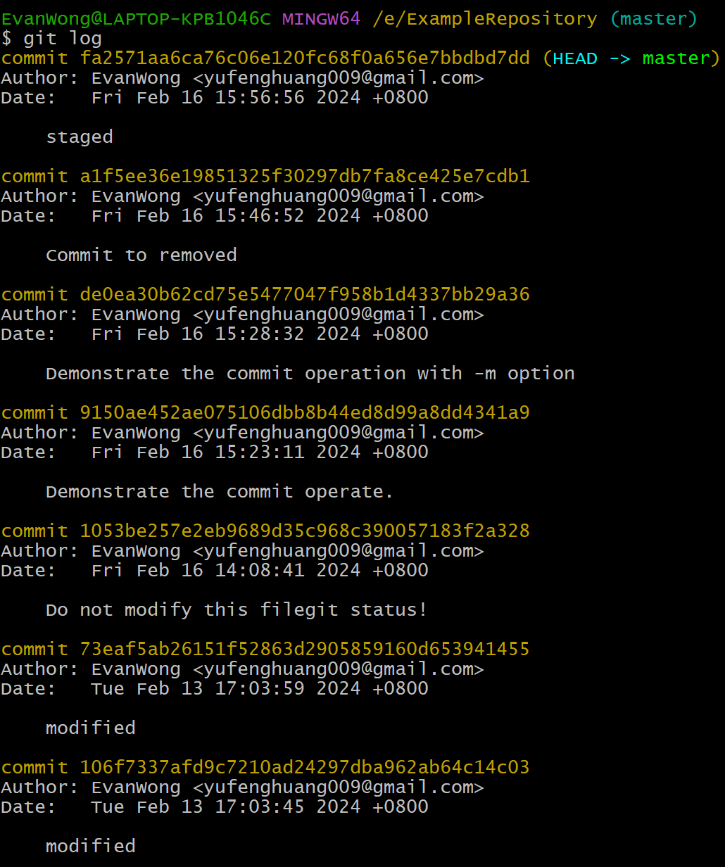 Git Commit History