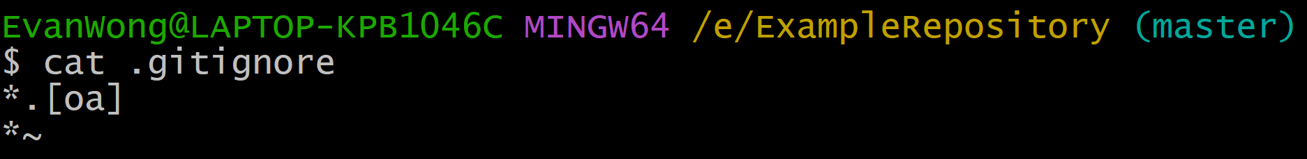 Git Ignore